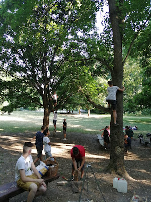 IMG_20210706_175208.jpg