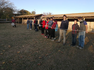 IMG_20211120_151446.jpg