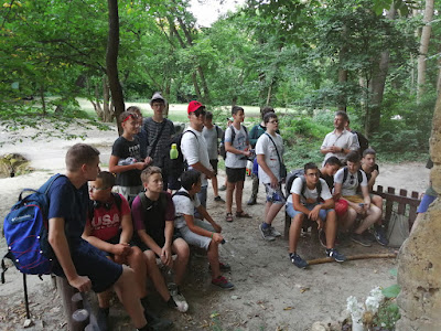 IMG_20210706_195011.jpg
