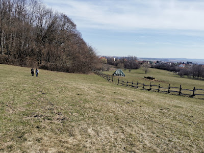 IMG_20230319_103250.jpg