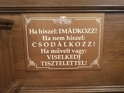 IMG_20220320_104710.jpg