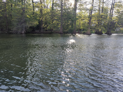 IMG_20230430_181240.jpg
