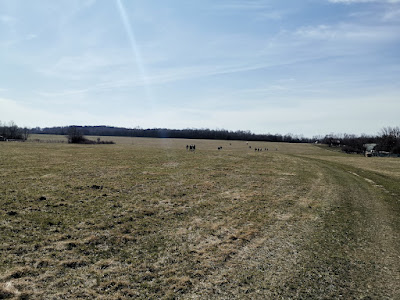 IMG_20230319_105242.jpg