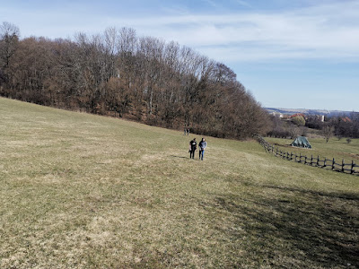 IMG_20230319_103320.jpg