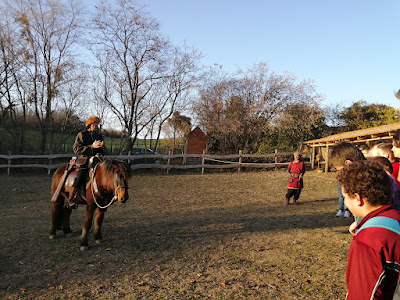 IMG_20211120_151237.jpg