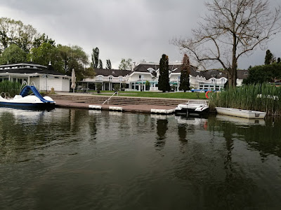 IMG_20220502_170657.jpg