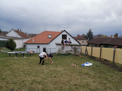 IMG_20240316_162924.jpg